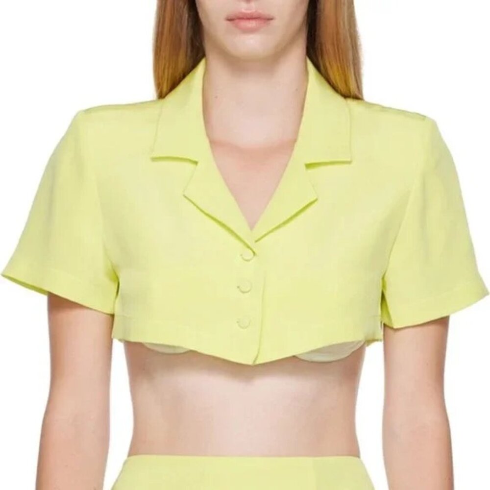Mirror Palais – Silk Crop Top & Mini Skirt Set in Lime (NWOT) - Picture 5 of 7